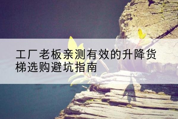寿光升降货梯怎么选-工厂老板亲测有效的升降货梯选购避坑指南