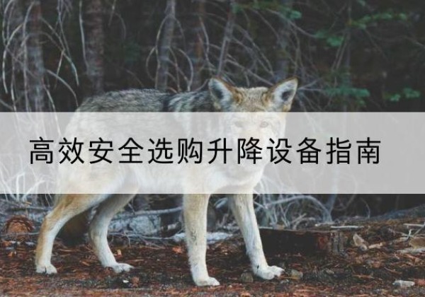 寿光升降货梯厂家推荐-*安全选购升降设备指南