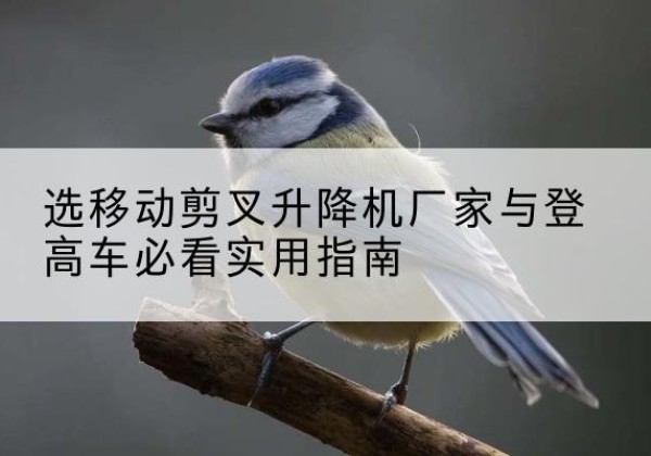 寿光电动升降机厂家-选移动剪叉升降机厂家与登高车必看实用指南