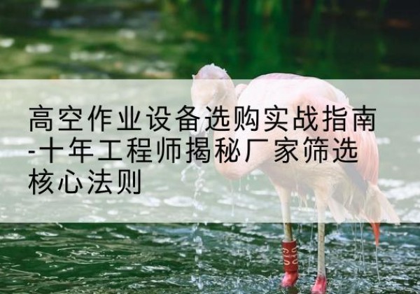 寿光剪叉式升降机厂家-高空作业设备选购实战指南-十年工程师揭秘厂家筛选核心法则