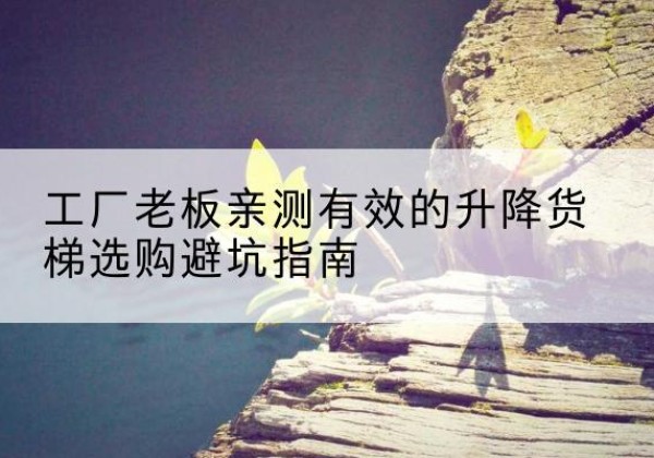 寿光升降货梯怎么选-工厂老板亲测有效的升降货梯选购避坑指南